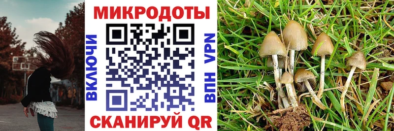 Псилоцибиновые грибы прущие грибы  что такое наркотик  Никольск 